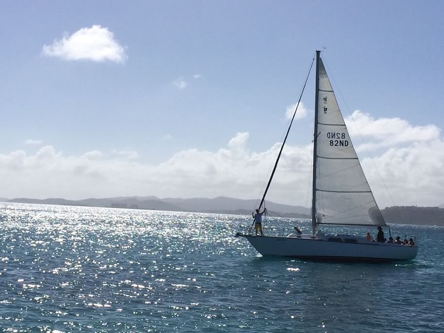 Jim Boat Trips Puerto Rico Caribbean